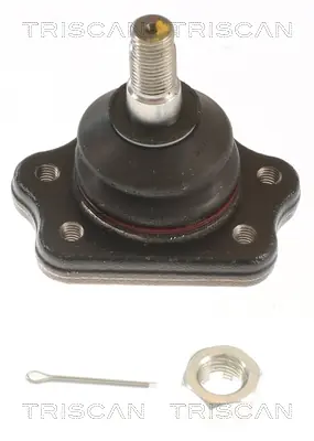 Spindelled övre — Övre Fynd
